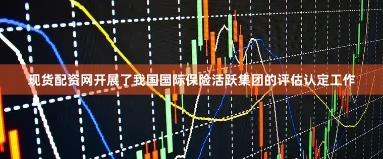 现货配资网开展了我国国际保险活跃集团的评估认定工作