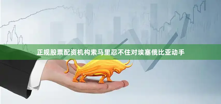 正规股票配资机构索马里忍不住对埃塞俄比亚动手