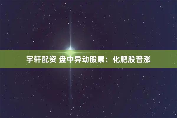 宇轩配资 盘中异动股票：化肥股普涨