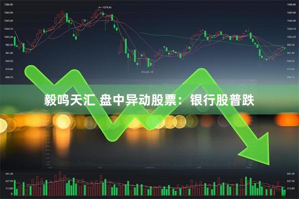 毅鸣天汇 盘中异动股票：银行股普跌
