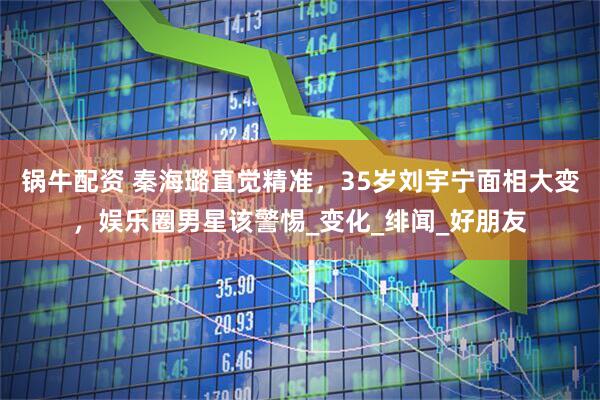 锅牛配资 秦海璐直觉精准，35岁刘宇宁面相大变，娱乐圈男星该警惕_变化_绯闻_好朋友