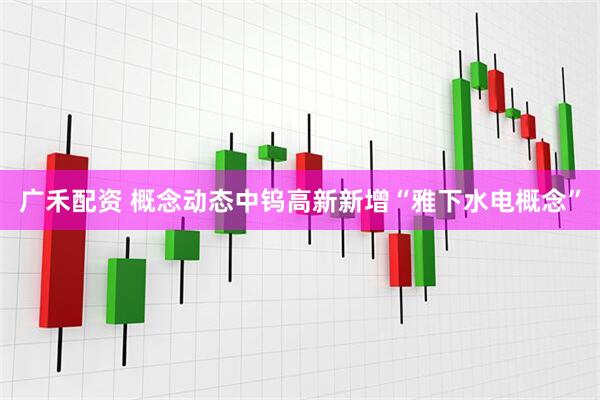 广禾配资 概念动态中钨高新新增“雅下水电概念”